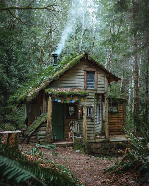 cabin   woods rmostbeautiful