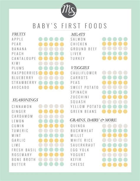 printable checklist  babys  food checklist