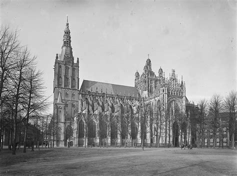 st janskathedraal  den bosch gotiek