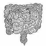 Intestines Zentangle sketch template