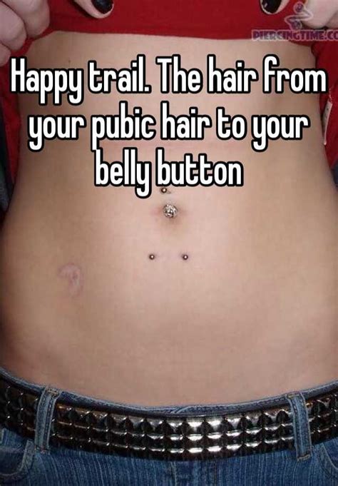 Happy Trail The Hair From Your Pubic Hair To Your Belly