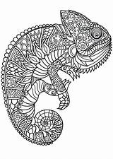 Coloring Mandala Animal Pages Kids Chameleon sketch template