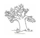 Baobab Alberi Speciali Natura Disegnidacoloraregratis Condividi sketch template