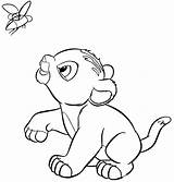 Lions Coloring Pages Detroit Getdrawings Lion sketch template