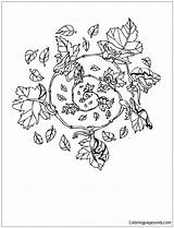 Pages Elf Fall Mandala Coloring Color Online sketch template