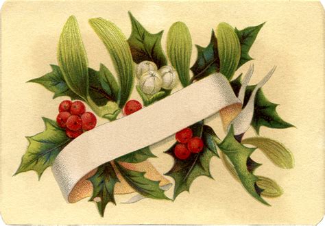 gorgeous christmas holly label  graphics fairy