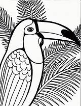 Coloring Pages Bird Toucam sketch template