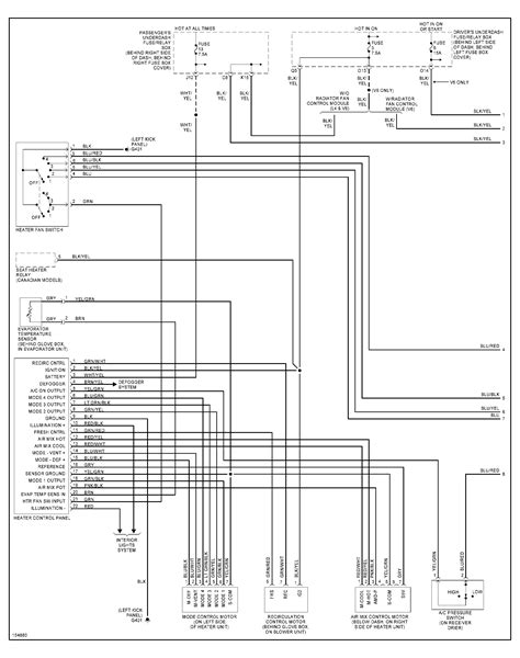 honda accord  radio wiring diagram loomium