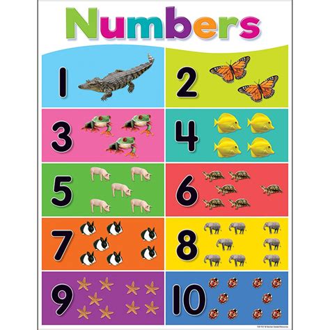 colorful numbers   chart tcr teacher created resources math
