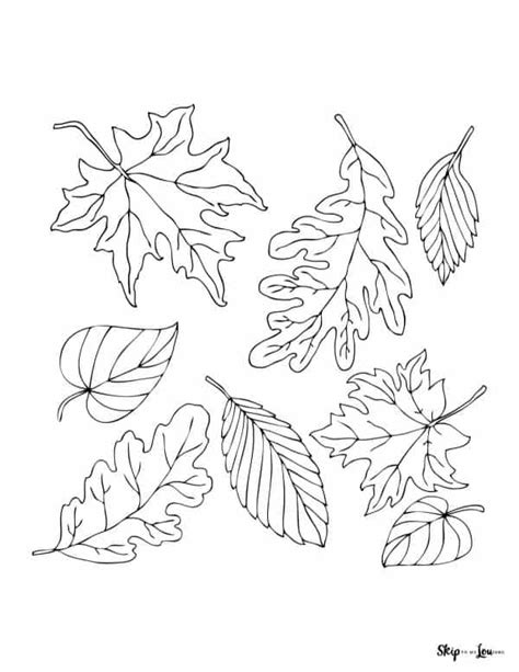 printable fall coloring pages skip   lou