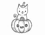 Kitten Halloween Coloring Coloringcrew sketch template
