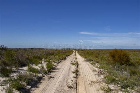 little desert national park victoria australia landscape outback track