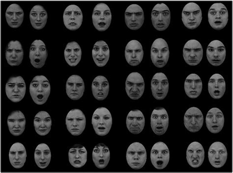 Frontiers Stereotypical Processing Of Emotional Faces Perceptual And