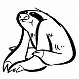Sloth Faultier Ausmalbilder Ausmalbild Q1 Kategorien sketch template