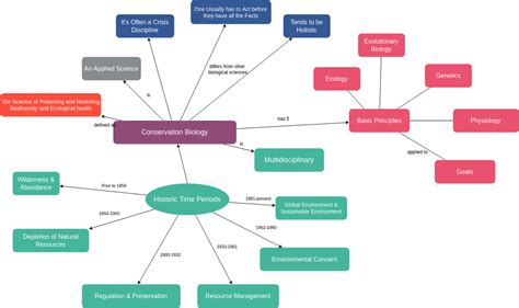 create   concept map  step  step guide