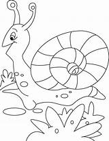 Snail Coloring Pages Animals Leaving Cocktail Printable Kids Kb Drawing sketch template