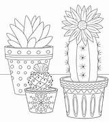 Cactus Kaktus Auswählen Ausmalen Malvorlagen sketch template