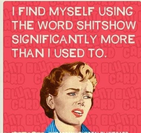 pin  valarie lucas  feisty work humor retro humor funny quotes