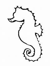 Seahorse Outline Coloring Printable Template Horse Clipart Sea Clip Pages Cliparts Drawing Kids Outlines Stencils Library Templates Clipartbest Choose Board sketch template