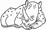 Coloring Rhino Rhinoceros Popular sketch template