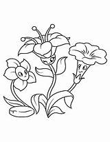 Ausmalbilder Glockenblumen Ausdrucken Glockenblume Malen Peaksel Topf Holz Leichte Malvorlagen Blumenzeichnungen Sonnenblume sketch template
