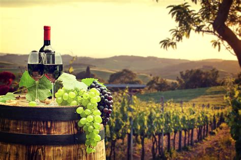 winery wallpapers top  winery backgrounds wallpaperaccess