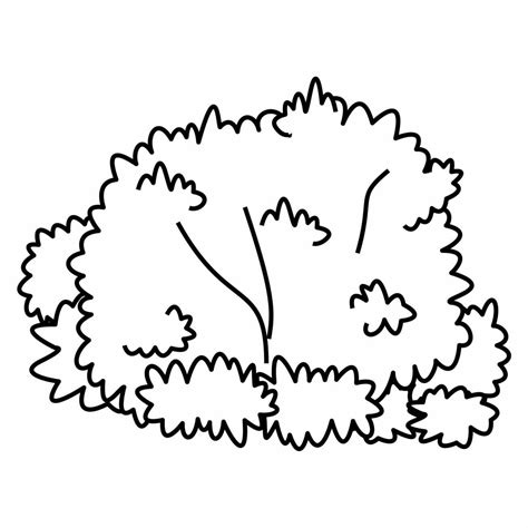 bush drawing    clipartmag