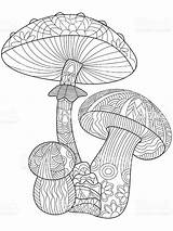 Mushroom Istockphoto sketch template