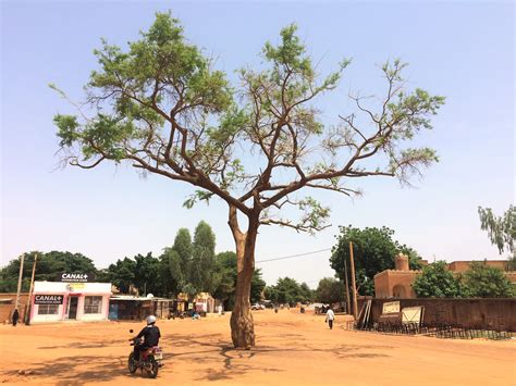 file niger niamey boulevard de la nation rue yn 34 3 wikimedia commons
