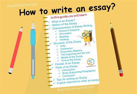write  essay structure  essay comprehensive guide