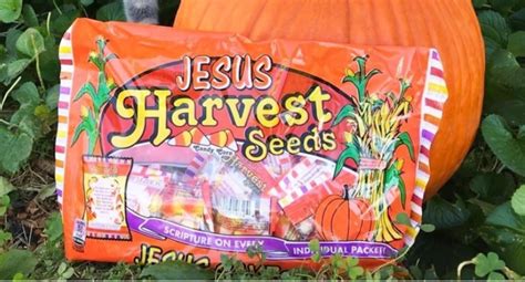 trade war brutal on halloween scripture candy joe my god