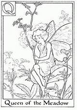 Coloring Fairy Fairies Meadow Barker Cicely Kleurplaat Gratuit sketch template