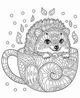 Coloring Mandala Pages Hedgehog Animal Mandalas Adults Color раскраски Print Relaxing Cup Printable Adult Colouring Zentangle Sheets Book sketch template