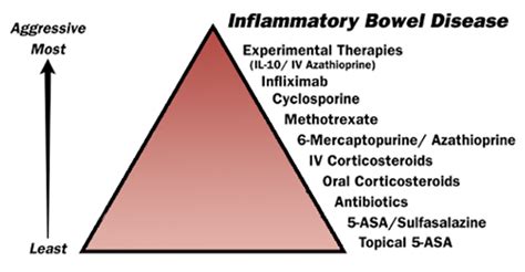 inflammatory bowel disease ibd diagnosis and treatment