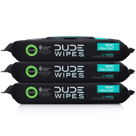 dude flushable wipes  men mint chill  pack  count walmart