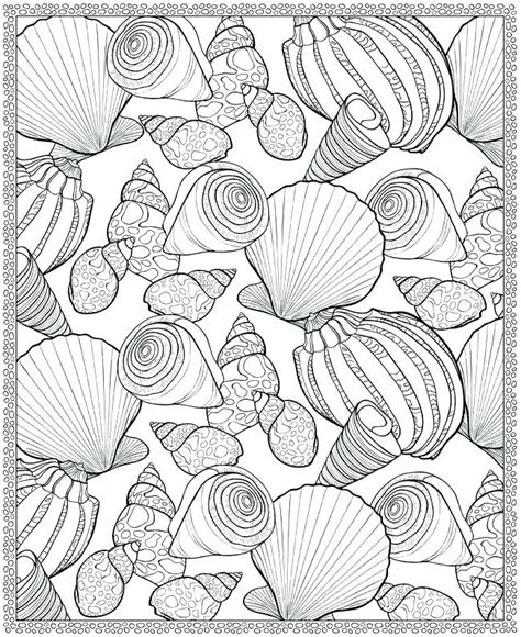 coloring pages sea shells  getdrawings