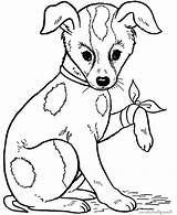 Sick Coloring Dog Pages Drawing Puppy Child Kids Animal Comments Getdrawings Cute Paintingvalley sketch template