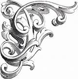 Scroll Scrolls Thegraphicsfairy Engraving Ornament Gravure Flourishes Cenefas Esquina Feedly sketch template