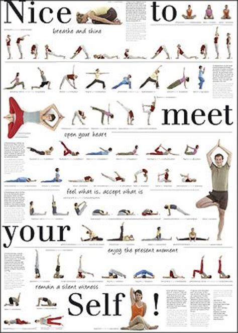 pilates posters buy  hubpages