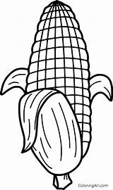 Maize Fruit sketch template