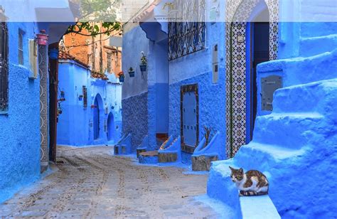 truth  chefchaouen moroccos blue city black platinum gold