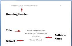 write  paper   essay format updated