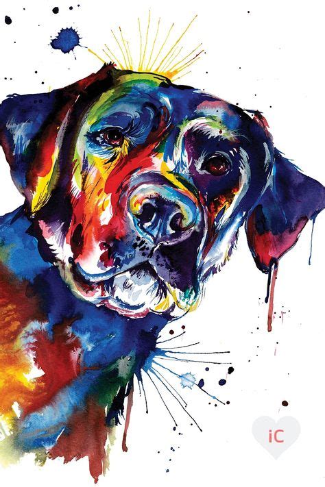 colorful dog art ideas dog art art animal art