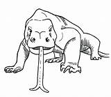 Komodo Dragon Coloring Pages Dragons Head Two Animals Drawing Clipart Animal Color Sixty Printable Headed Draw Getdrawings Visit Getcolorings Jem sketch template