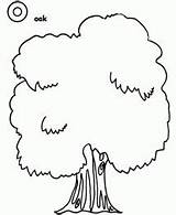 Tree Coloring Pages Printable Everfreecoloring sketch template