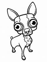 Pages Coloriage Gaddynippercrayons Chihuahuas Teacup sketch template