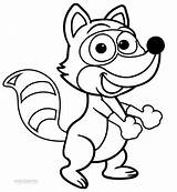Procione Colorare Raccoon Disegni Racoon Cool2bkids Bambini sketch template