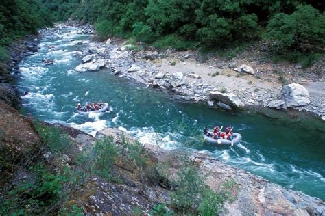 american river rafting trips