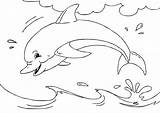 Coloring Dolphin Pages Sea Animals Fish Animal Online Print Colouring sketch template