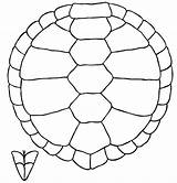 Turtle Coloring Pattern Shell Drawing Draw Pages Clipart Sketch Clip Cliparts Turtles Shells Line Book Reptiles Amphibians Kids Library Choose sketch template